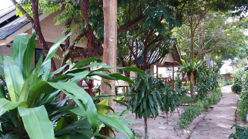 קו לנטה Lanta Long Beach Hostel מראה חיצוני תמונה